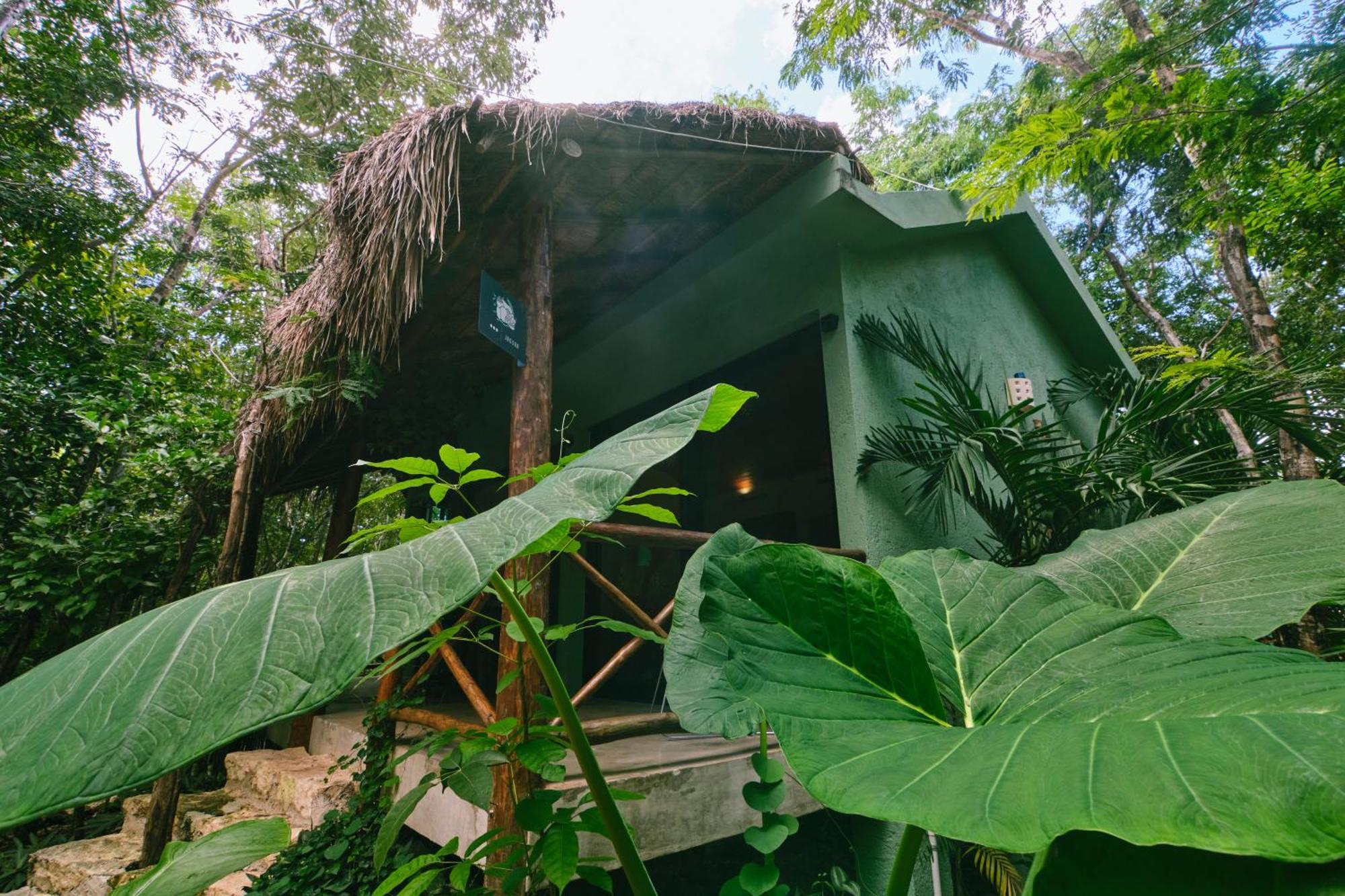 Villas Zamna - Jungle Villas Cozumel Extérieur photo
