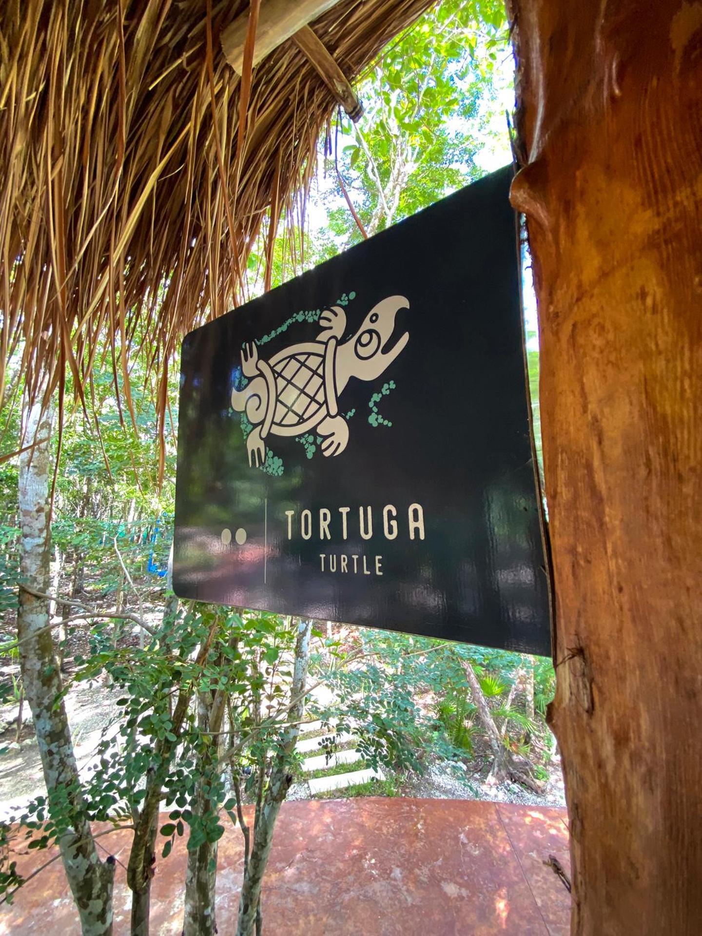 Villas Zamna - Jungle Villas Cozumel Extérieur photo