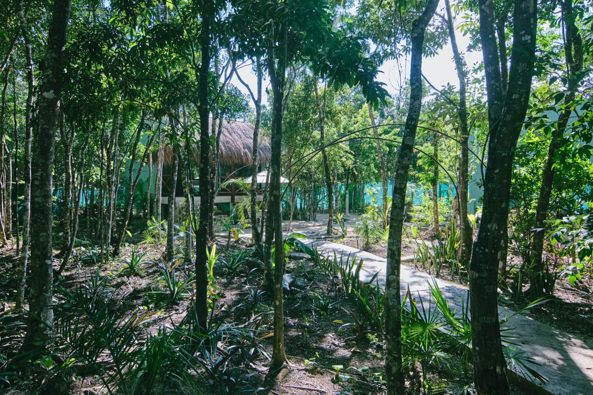 Villas Zamna - Jungle Villas Cozumel Extérieur photo