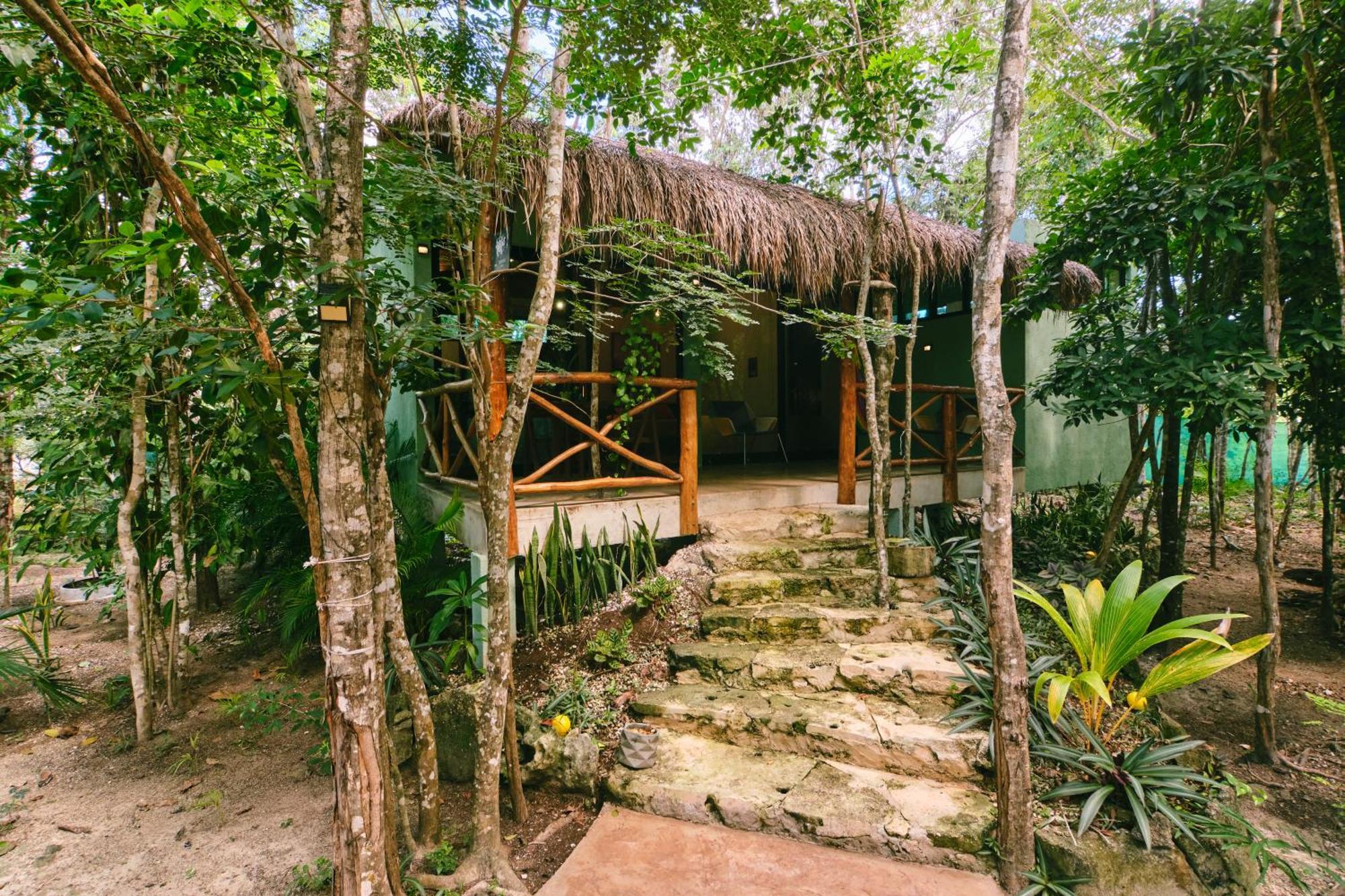 Villas Zamna - Jungle Villas Cozumel Extérieur photo
