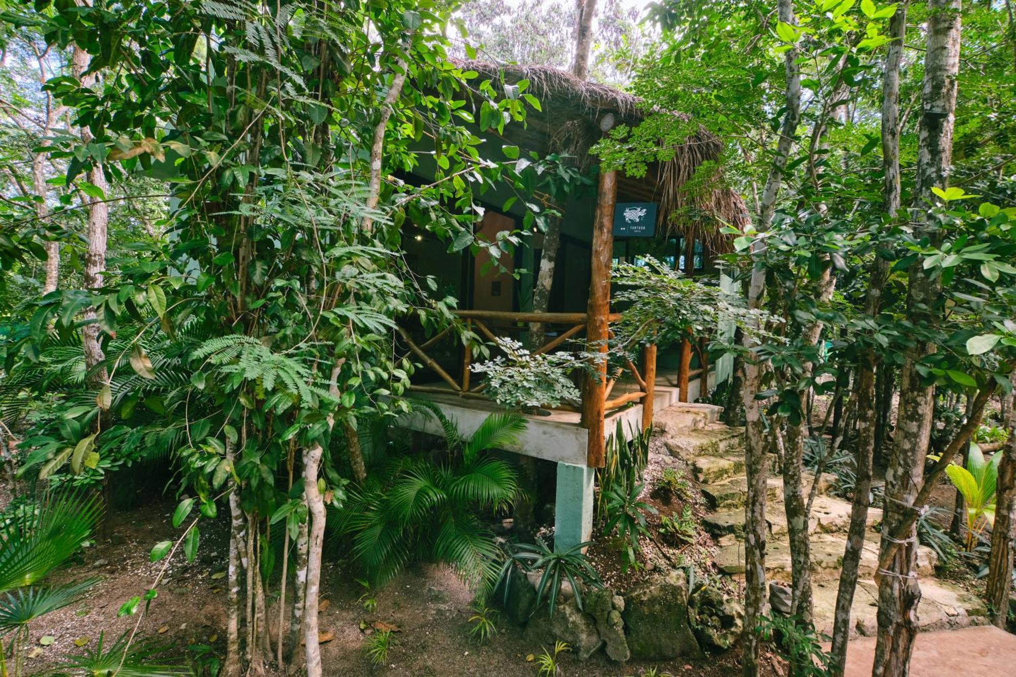 Villas Zamna - Jungle Villas Cozumel Extérieur photo
