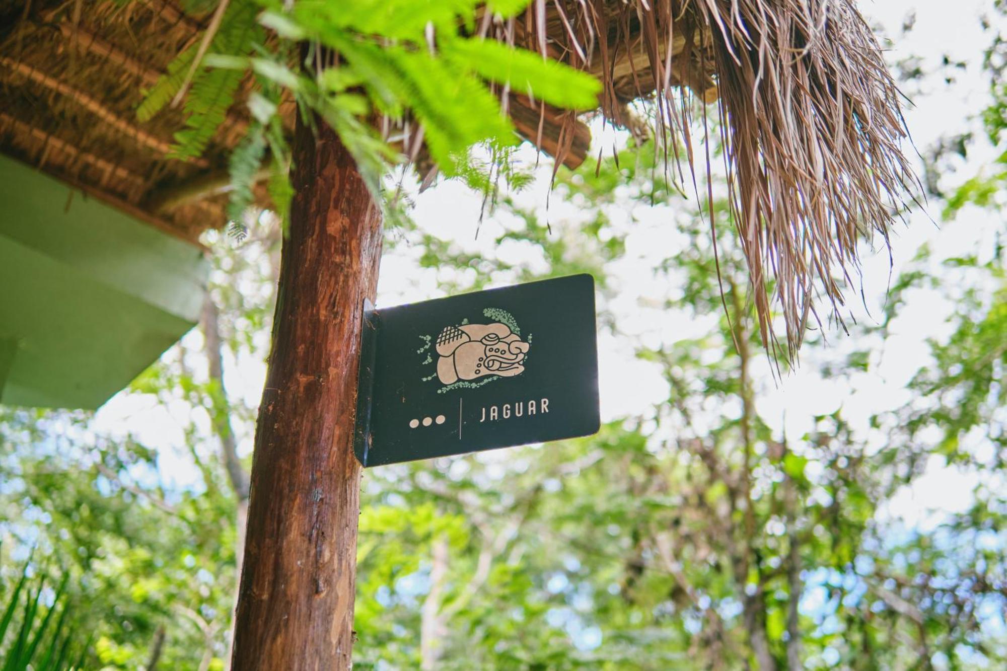 Villas Zamna - Jungle Villas Cozumel Extérieur photo